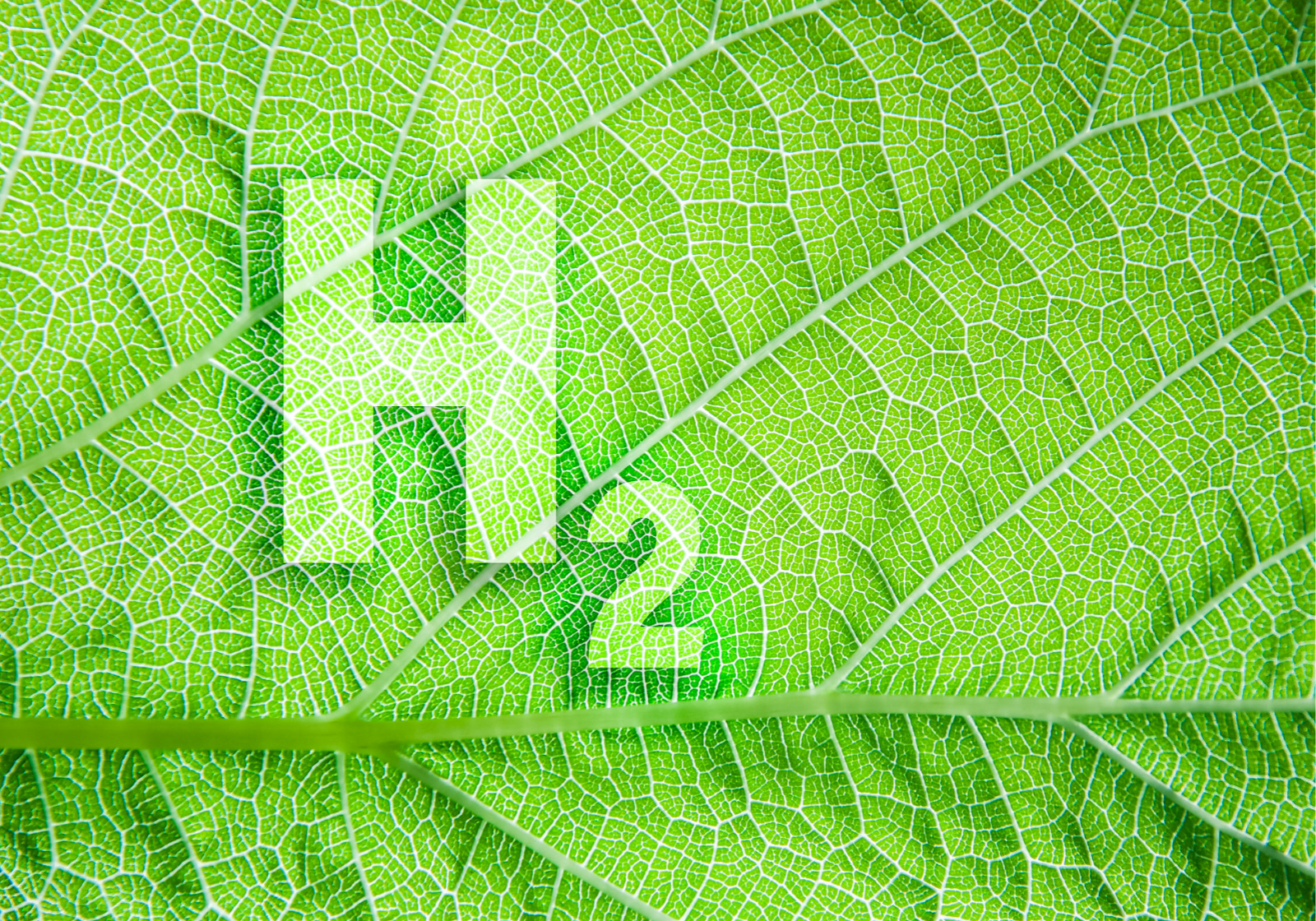 green-hydrogen-01