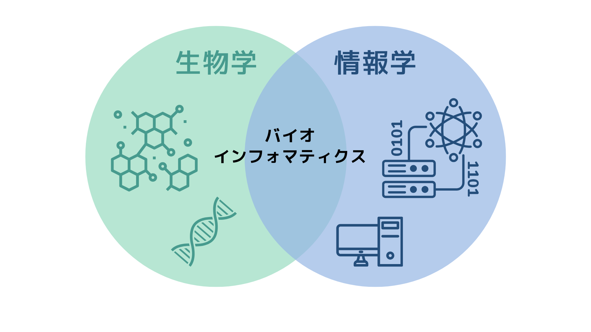 バイオインフォマティクス