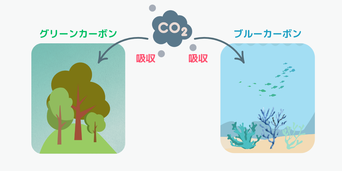 グリーンカーボンとブルーカーボンの違い